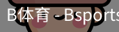 B体育，Bsports，B体育平台
